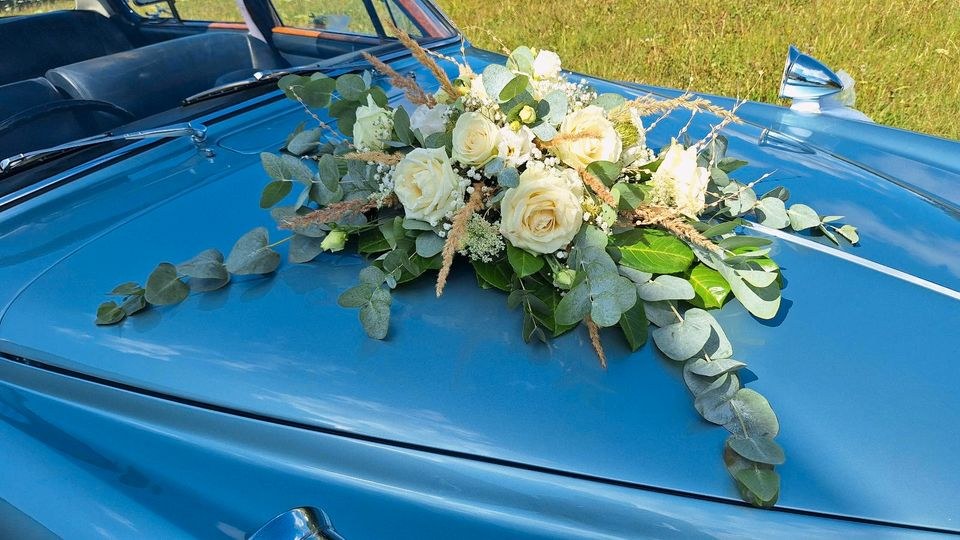 2 Stunden Fahrer Fahrerin mieten in Niederaula – 2