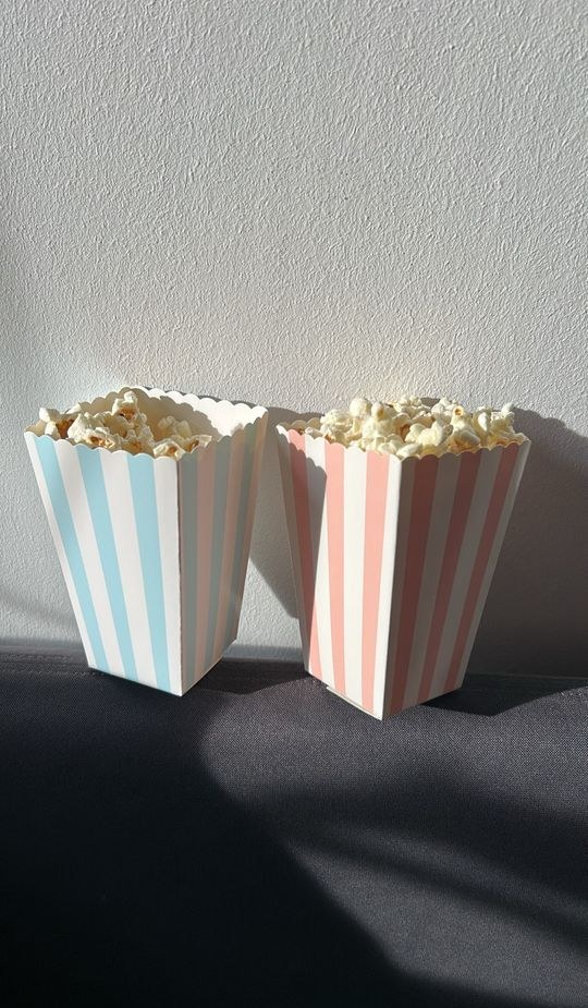 Popcornmaschine mieten in Burgdorf – Kino-Popcorn selbst gemacht – 4