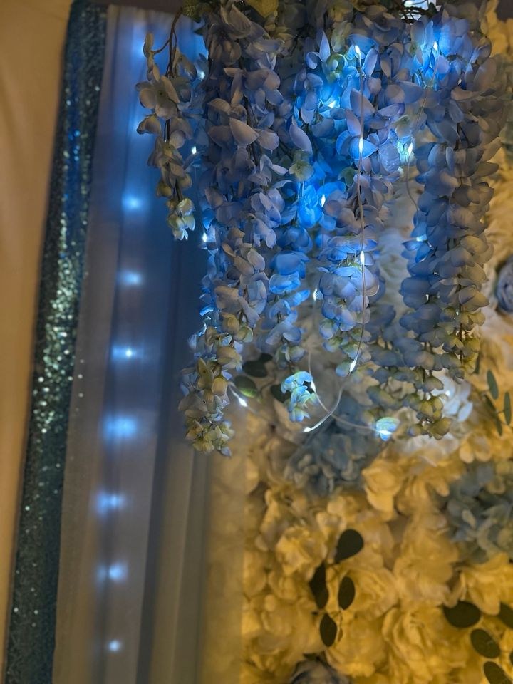 Blumenwand Fotowand Hintergrund Flowerwall N mieten in Nersingen – 4