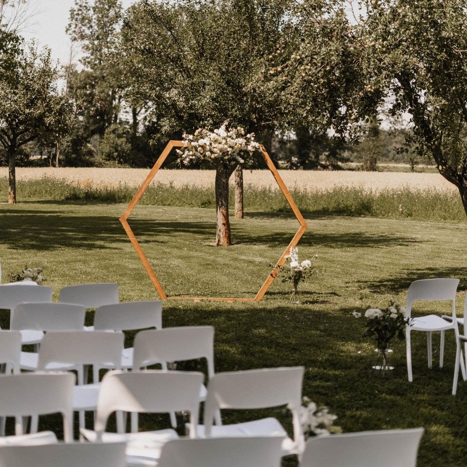 Traubogen Hexagon 230 cm Deko Ballonbogen mieten in Garath – 4