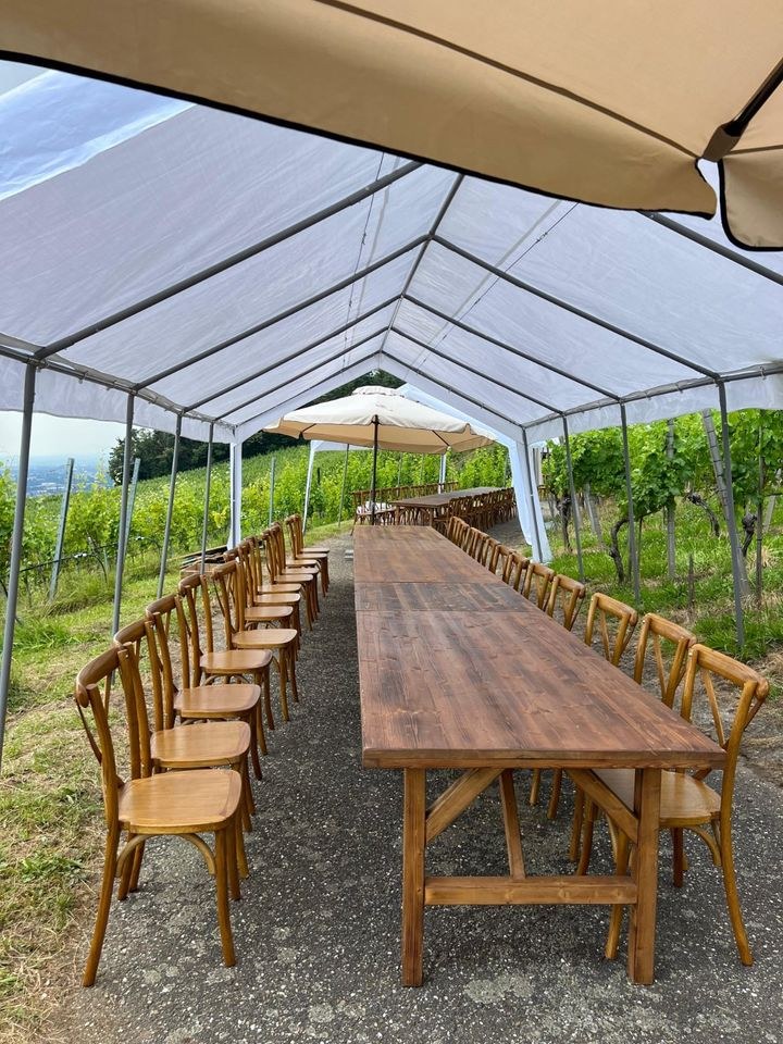 Partyzelt Festzelt Pavillon 4x8 4x6 Meter N mieten in Baden-Baden – 2
