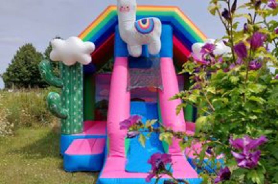 Lama Regenbogen Hüpfburg Rutsche mieten in Niederkassel