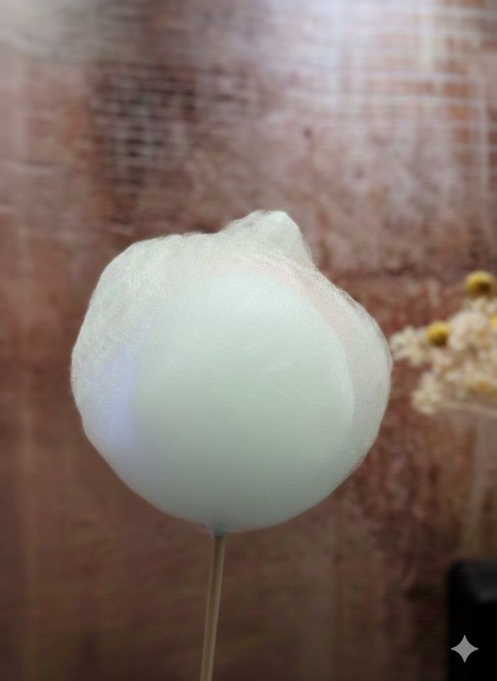Zuckerwatte Spaß N Zuckerwattemaschine mieten in Norderstedt – 4