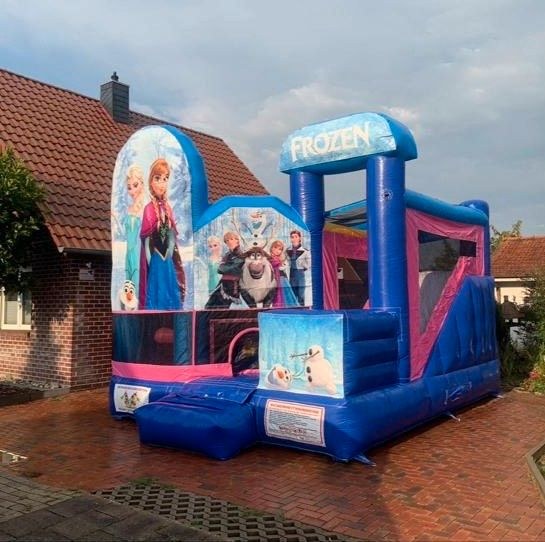 Hüpfburg Anna Elsa Frozen Paw Patrol Rutsche mieten in Nordhorn – 4