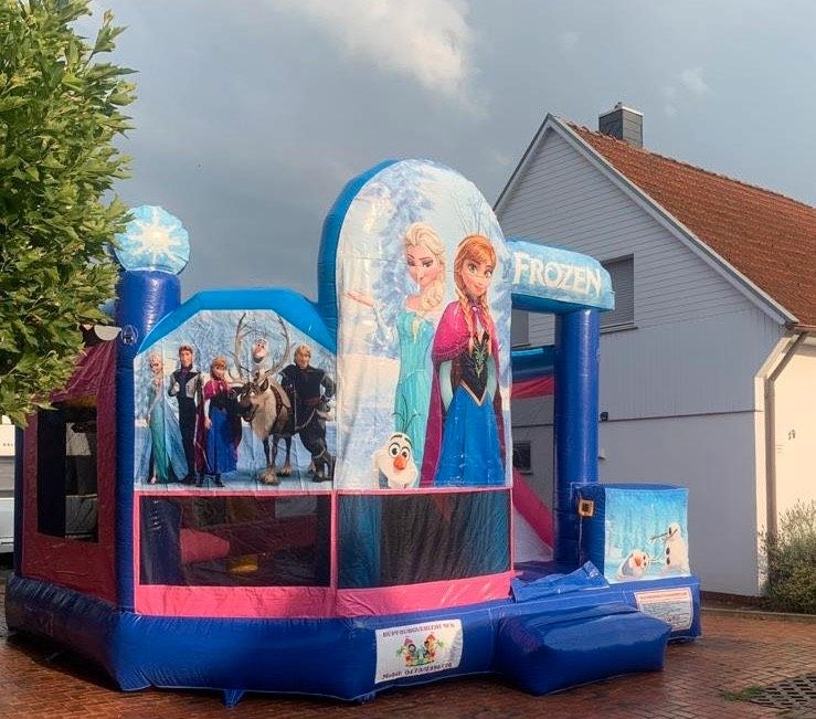 Hüpfburg Anna Elsa Frozen Paw Patrol Rutsche mieten in Nordhorn – 3