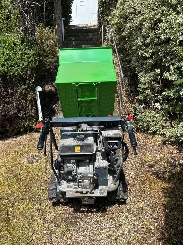 Zipper Minidumper ZI MD500HST 500 kg Nutzlast mieten in Breitscheid – 4