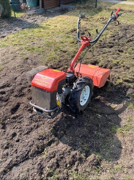 Benassi Gartenfräse Einachser mieten in Osterholz-Scharmbeck – 3