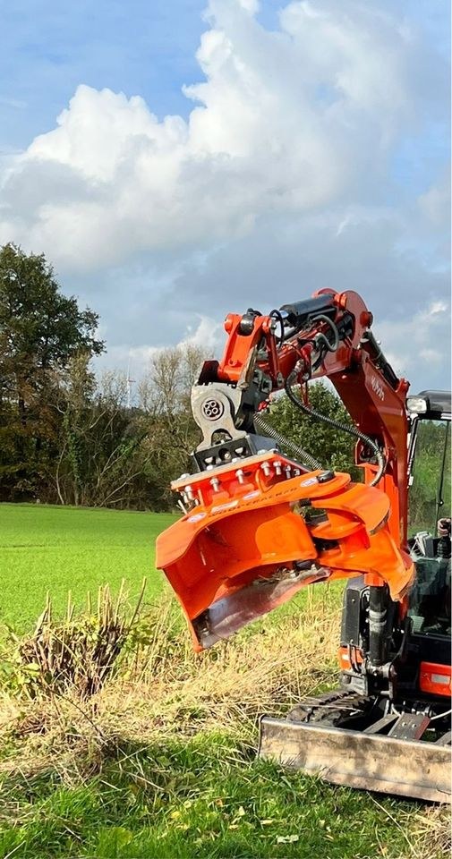 Fällgreifer Baumschere Bagger Baum Hecke mieten in Nordkirchen – 2