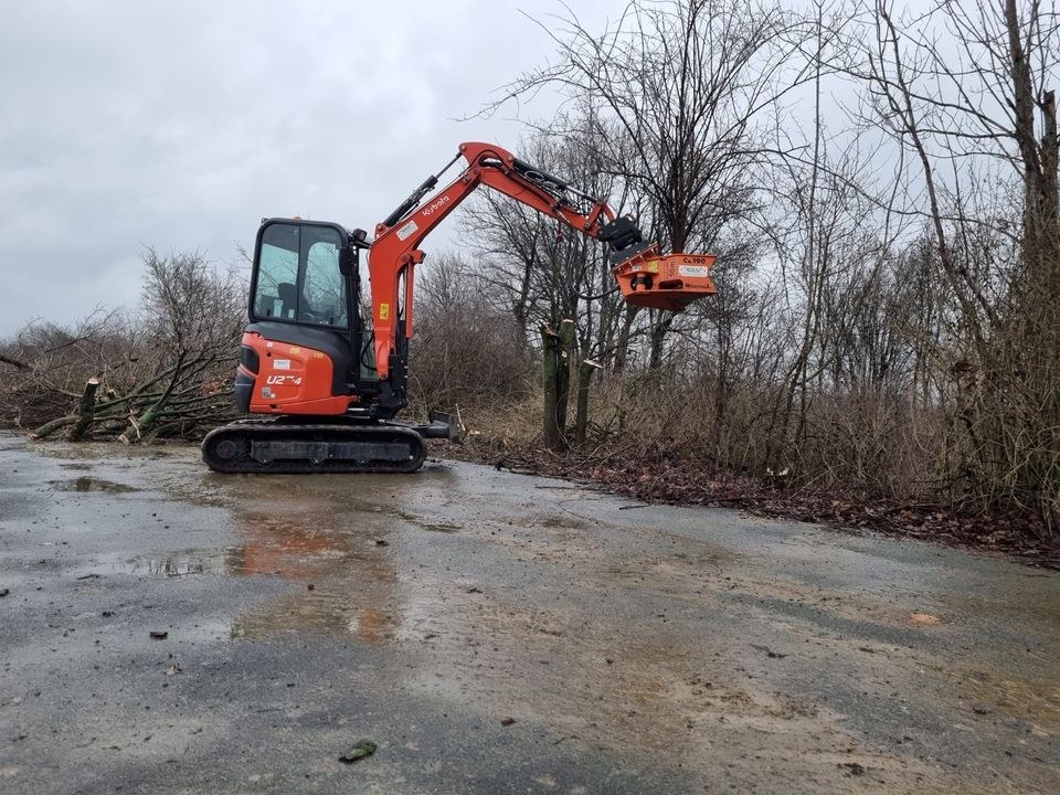 Fällgreifer Baumschere Bagger Baum Hecke mieten in Nordkirchen – 3