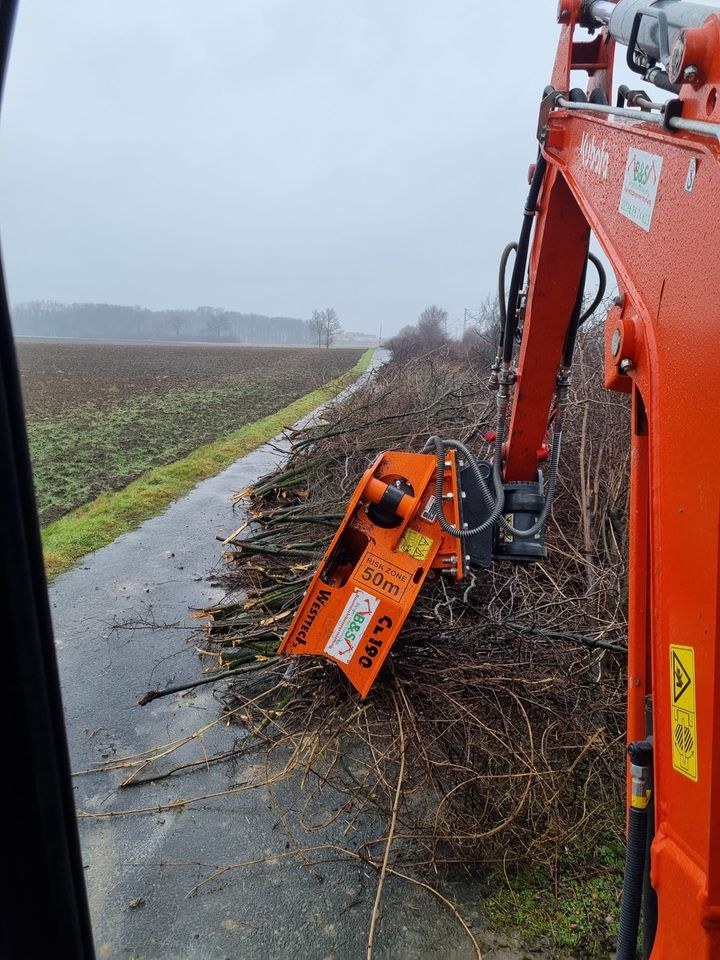 Fällgreifer Baumschere Bagger Baum Hecke mieten in Nordkirchen – 4
