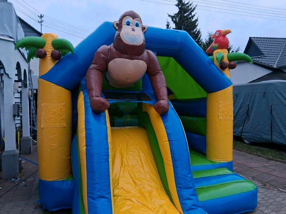 Hüpfburg Safari inkl Anhänger Neuwied mieten bei MJ- Partyzubehör – 4