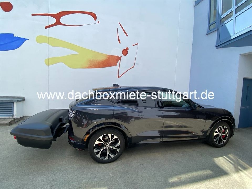 Thule Dachbox Dachträger Bermude mieten in Stuttgart-West – 4