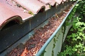 Dachrinnenreinigungsgerät Sky Vac 85 Regenrinne mieten in Geestland