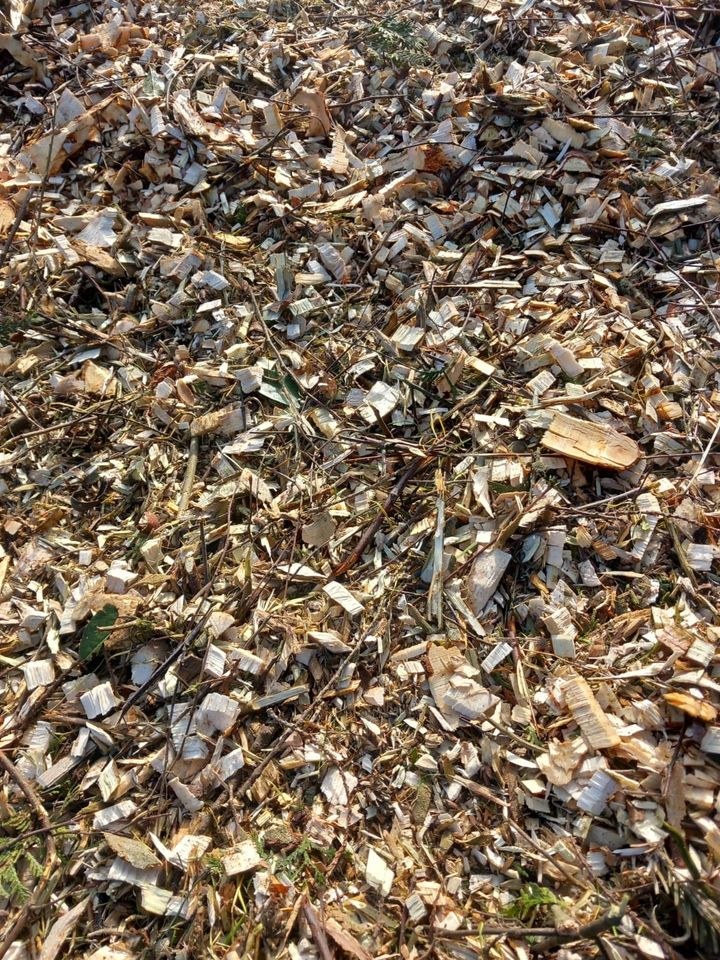 Buschhäcksler Schredder Gartenhäcksler 12cm mieten bei Deichbar – 3