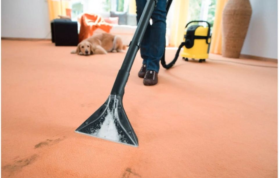 Waschsauger Teppichreiniger Polsterreiniger mieten bei Deichbar – 4