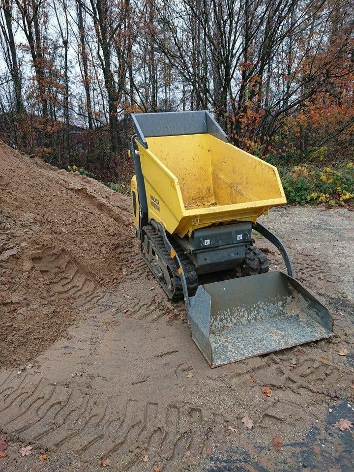 Dumper Kettendumper Wacker Neuson DT12 mieten in Heiligenhaus – 3