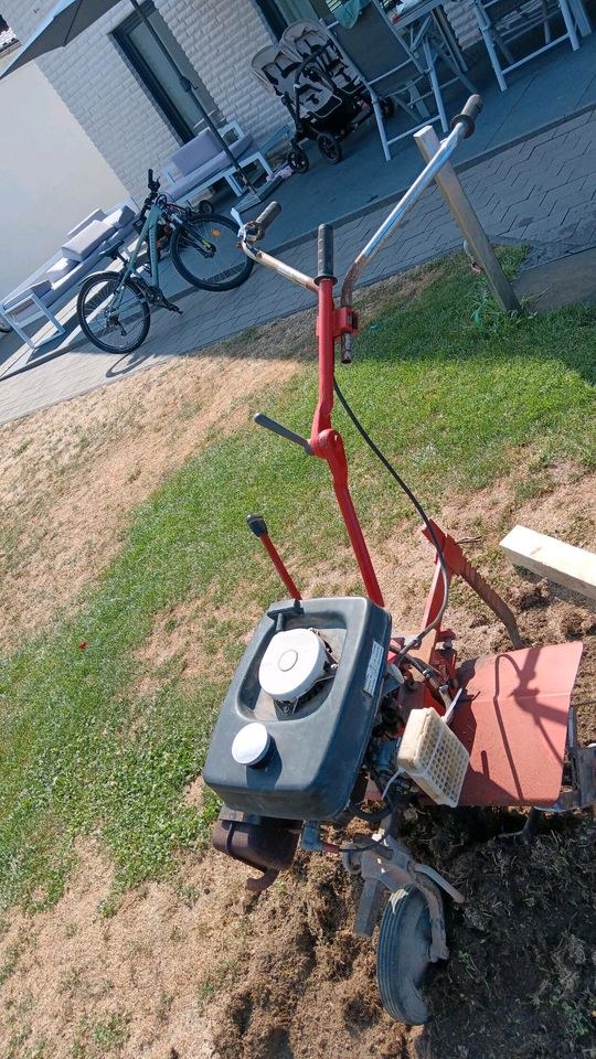 Motorhacke Gartenhacke mieten in Otterstadt