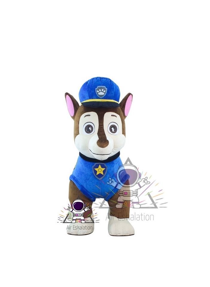 Maskottchen Bluey,Super Mario,Hulk,Pikachu,Paw mieten – 3