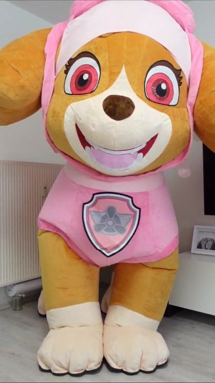 PawPatrol SKY Maskottchen Kindergeburtstag mieten – 3