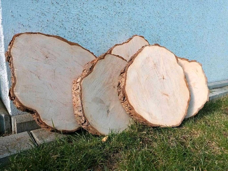 15x Holzscheiben 30cm Baumscheiben Hochzeitsdeko mieten