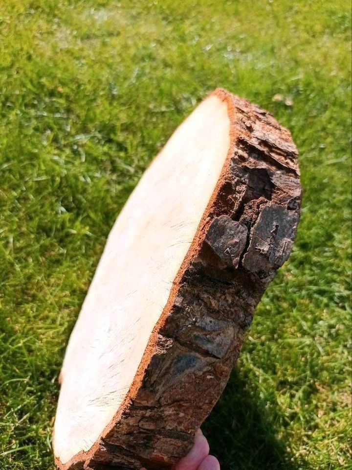 15x Holzscheiben 30cm Baumscheiben Hochzeitsdeko mieten – 3