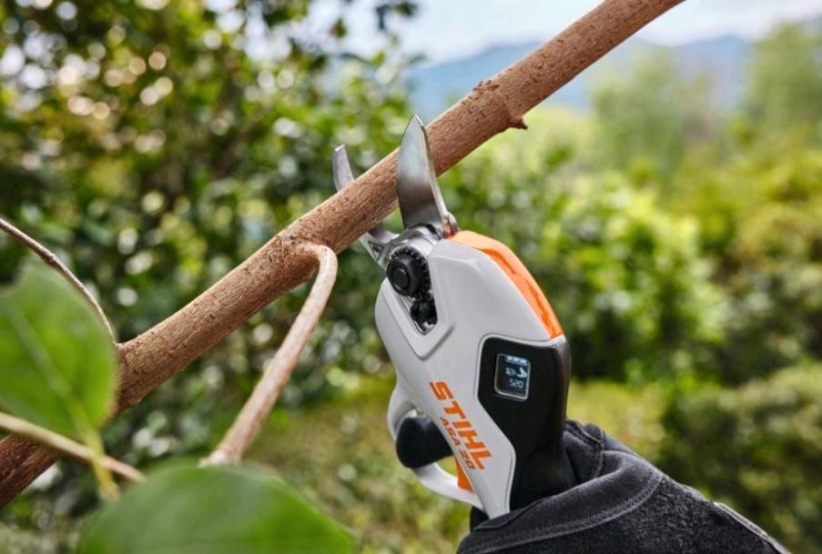 Stihl ASA 20 Akku Astschere Rosenschere mieten in Wennigsen – 4