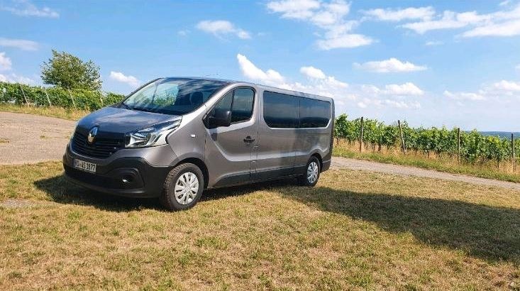 9 Sitzer Bus Renault Traffic mieten bei A-S UMZUG TRANSPORT AUTOVERMIE