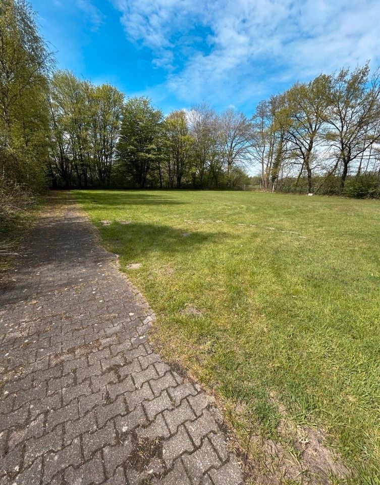 Wiese zum Feiern Location Saal mieten in Oerlinghausen – das Besondere – 2