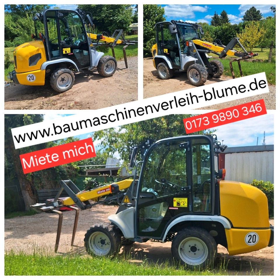 Radlader KRAMER 5036 mieten in Trittau – für Schüttgut & Paletten