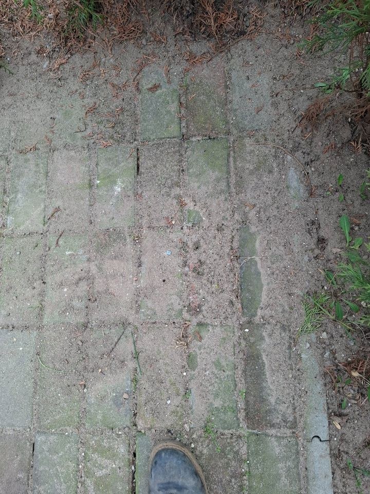 Wildkrautbürste mieten in Trittau – für Garten & Grundstück – 3