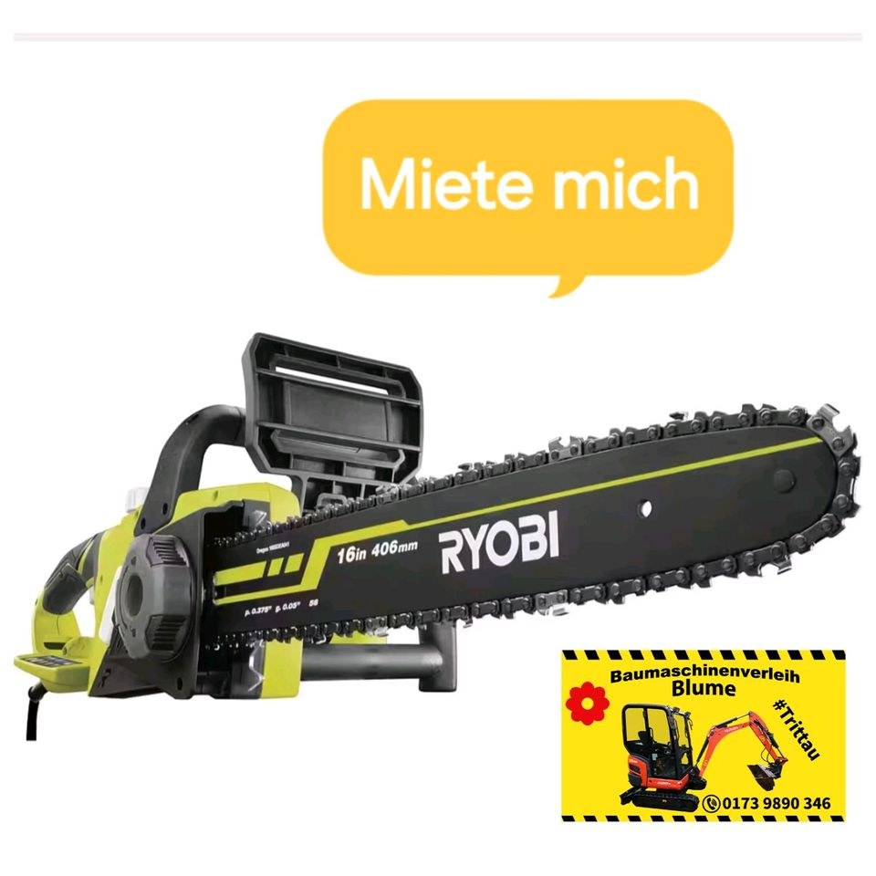 Elektro Kettensäge mieten in Trittau – für saubere Schnitte