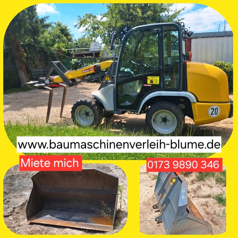 Radlader KRAMER 5036 mieten in Trittau – für Schüttgut & Paletten – 2