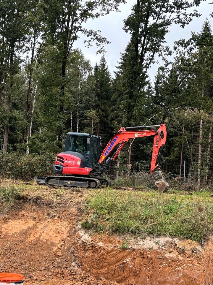 Bagger 5,5 Tonnen ,leistungsstark große mieten in Abensberg – 3