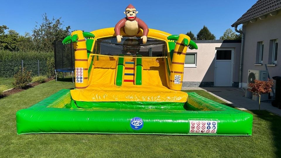 Wasserrutsche Splashy slide Dschungel mieten in Vohburg an der Donau