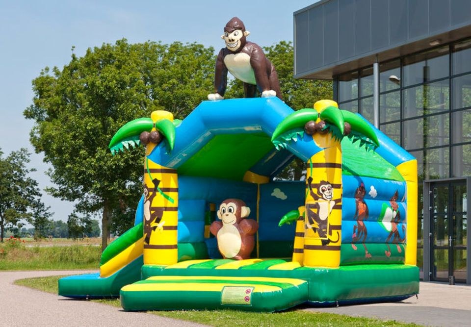 Hüpfburg Multifun Dschungel Rutsche mieten in Vohburg an der Donau