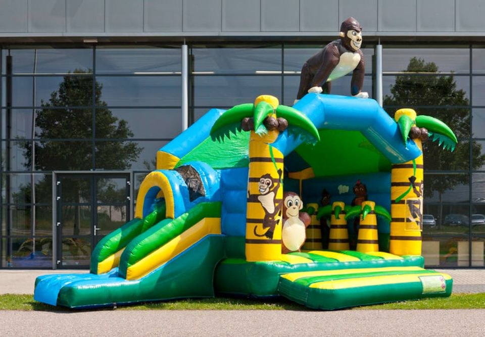 Hüpfburg Multifun Dschungel Rutsche mieten in Vohburg an der Donau – 2