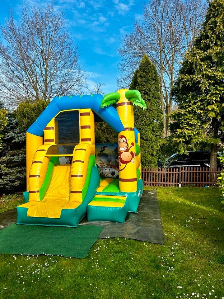 Jungle Dschungel Hüpfburg Kindergeburtstag mieten bei BelFun
