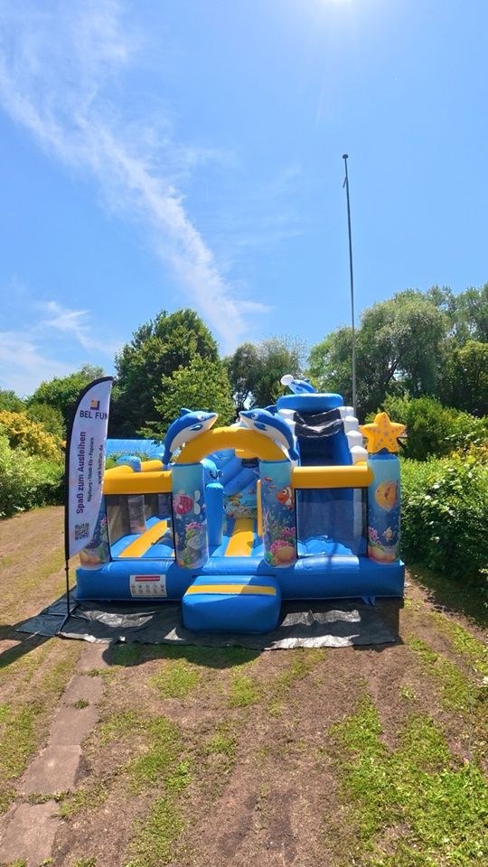 Delfin Ozean Hüpfburg Kindergeburtstag mieten bei BelFun – 2