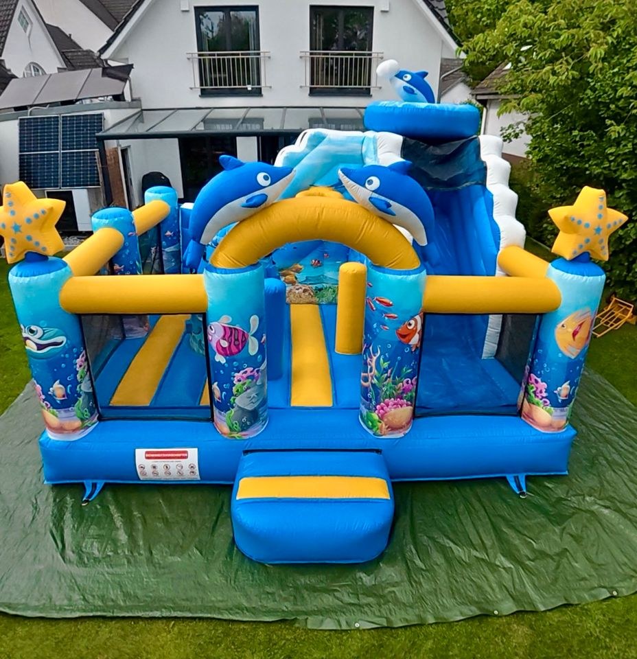 Delfin Ozean Hüpfburg Kindergeburtstag mieten bei BelFun – 4