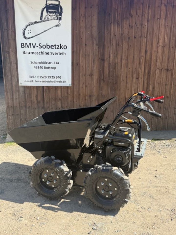 Dumper Motorschubkarre 300kg mieten in Bottrop – für Aushub & Schutt