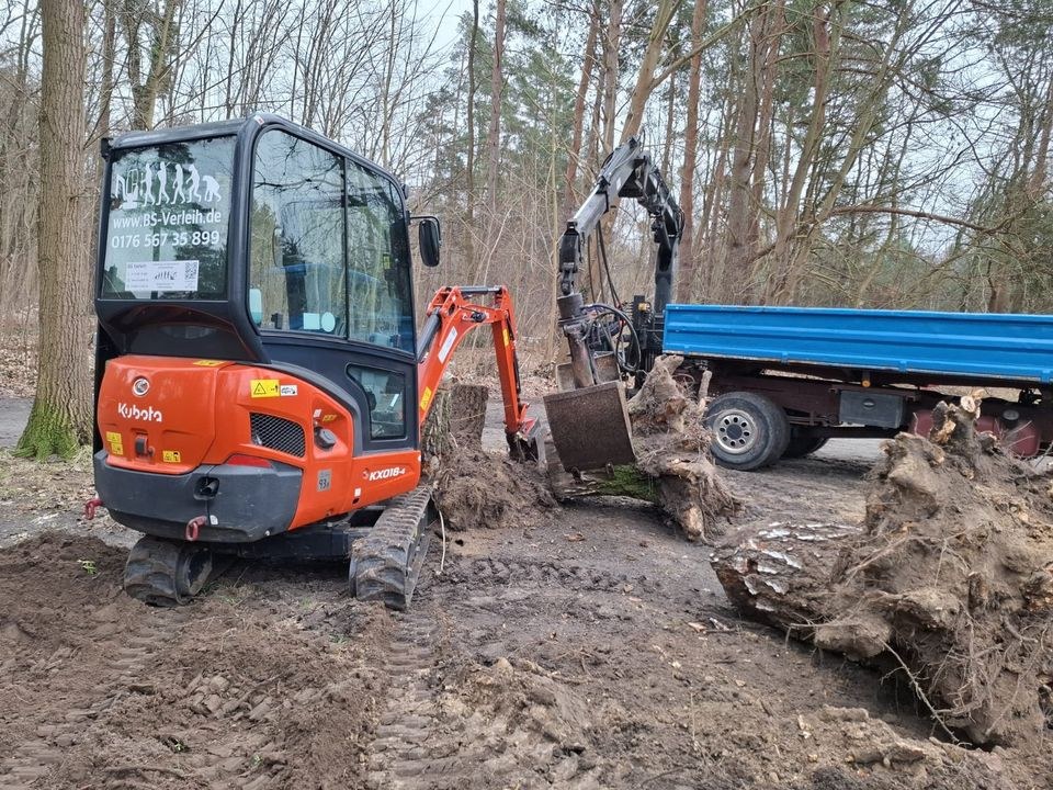 Bagger Kubota KX018 4 mieten bei B&S Verleih