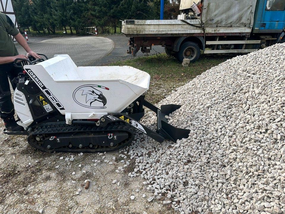 Cormidi C60 Hochkippdumper inkl mieten bei Thomas Neumann BTV Neumann