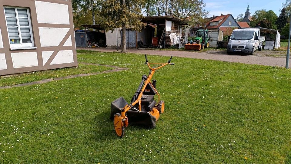 Hochgrasmäher As mieten in Bad Gandersheim – für große Flächen – 4