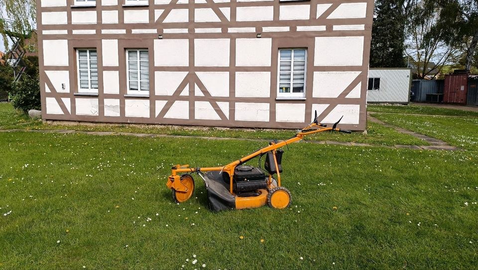 Hochgrasmäher As mieten in Bad Gandersheim – für große Flächen