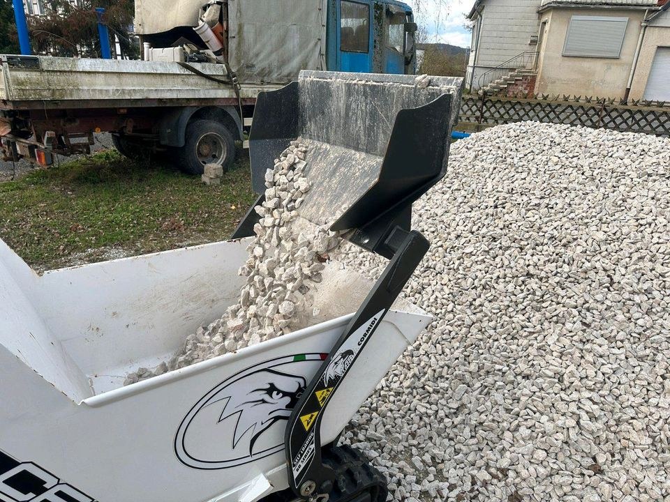 Cormidi C60 Hochkippdumper inkl mieten bei Thomas Neumann BTV Neumann – 2