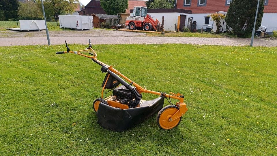 Hochgrasmäher As mieten in Bad Gandersheim – für große Flächen – 3
