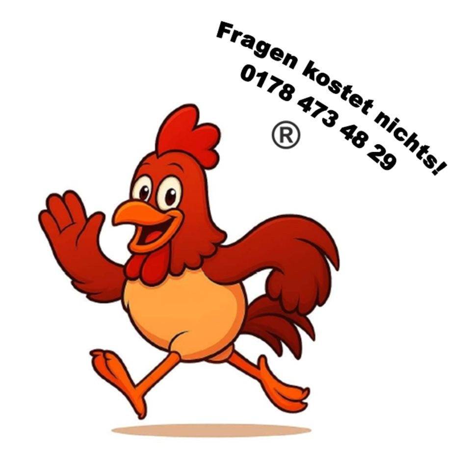 Holzspalter 7 Tonnen liegend mieten bei ChickenCar® – 3