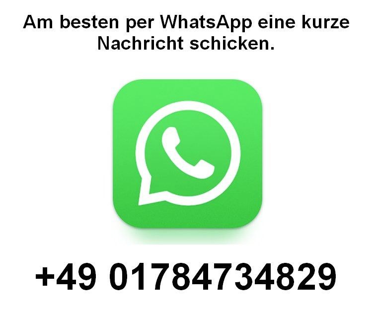 Holzspalter 7 Tonnen liegend mieten bei ChickenCar® – 2