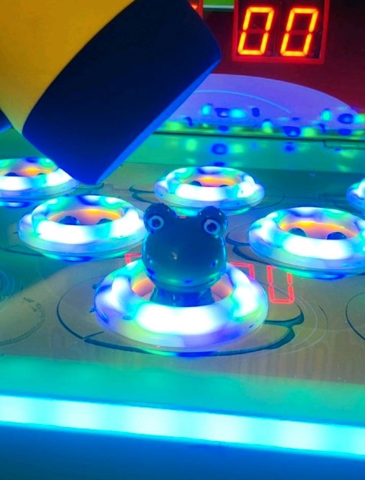 Hau Frosch Arcade mieten in Hiddenhausen – für Gräben & enge Stellen – 3
