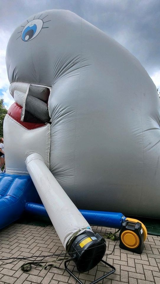 Hüpfburg Timmy Wal mieten in Hiddenhausen – Hüpfspaß für jede Feier – 3